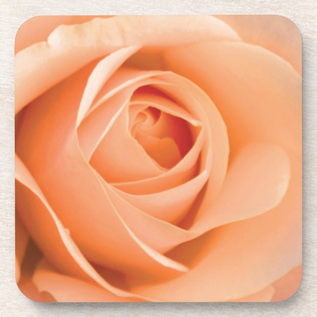 Orange Rose Coaster (Front)