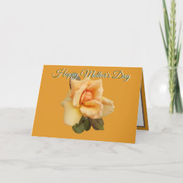Orange Rose Cutout Photo Orange Mothers Day Card