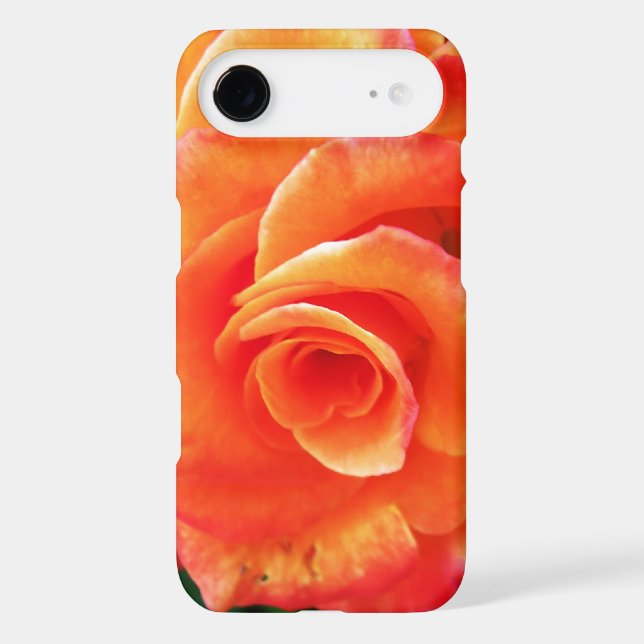 Orange rose flower (Back)