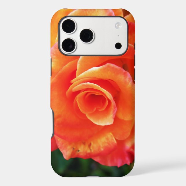 Orange rose flower (Back)