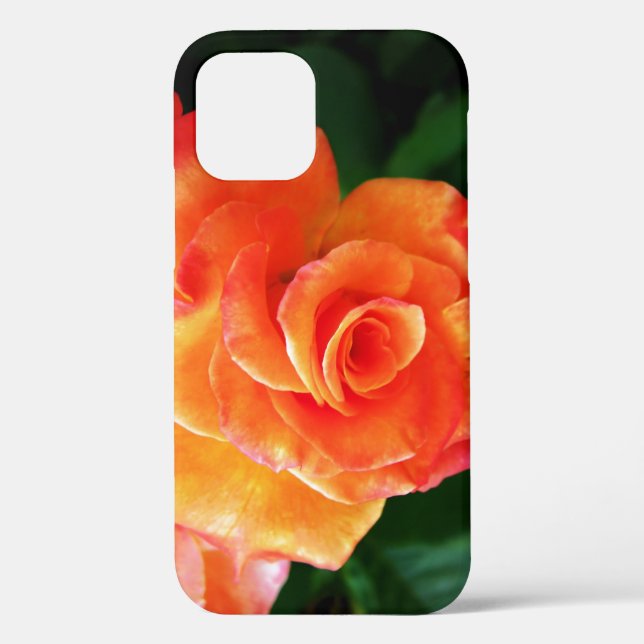 Orange rose flower Case-Mate iPhone case (Back)