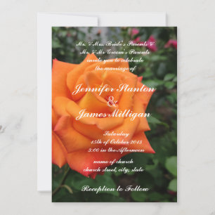 Orange rose flower invitation