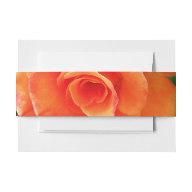 Orange rose flower invitation belly band (Front Example)