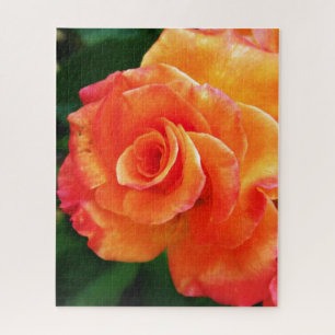 Orange rose flower jigsaw puzzle