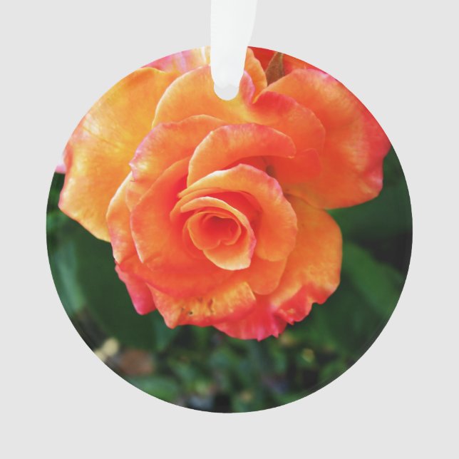 Orange rose flower ornament (Front)