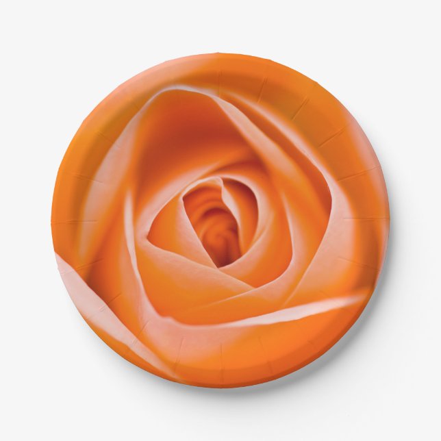 Orange rose flower Paper plate (Front)