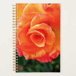 Orange rose flower planner