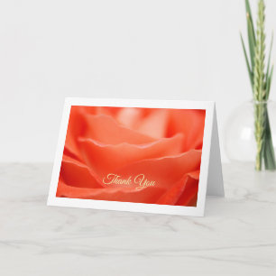Orange Rose Greeting Card