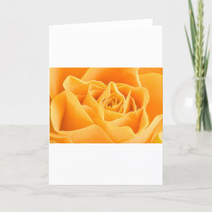 ORANGE ROSE HOLIDAY CARD