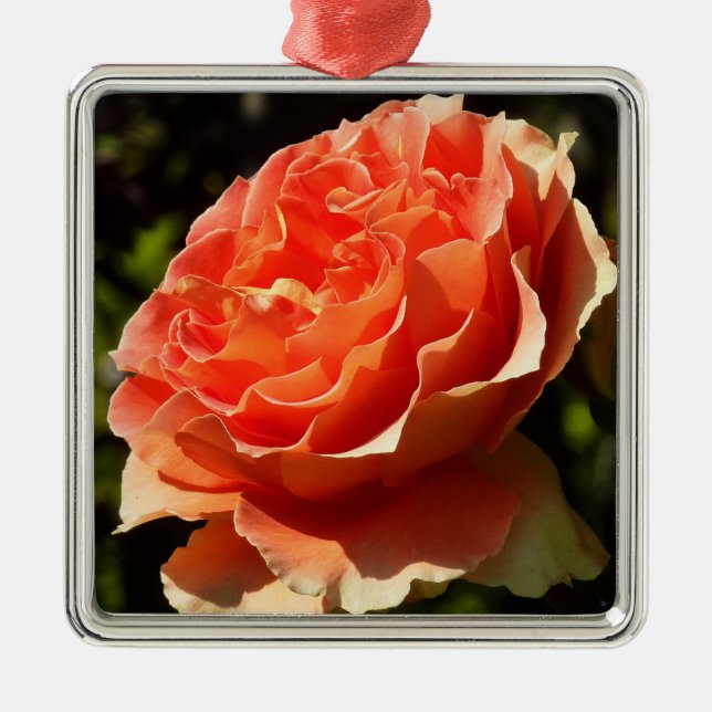Orange Rose II Beautiful Floral Metal Ornament (Front)