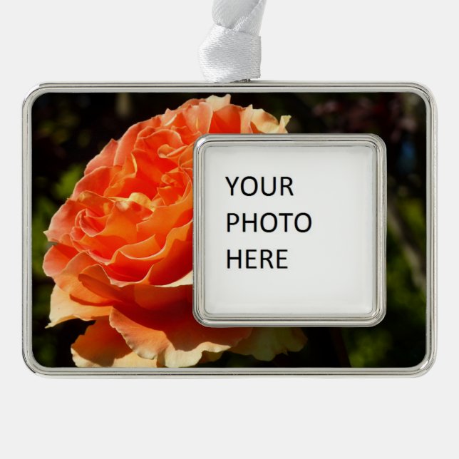 Orange Rose II Beautiful Floral Silver Plated Framed Ornament (Front)