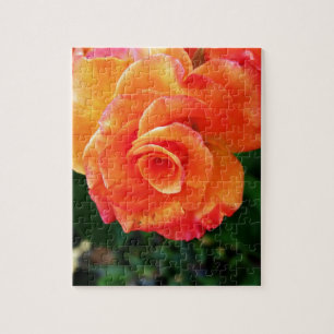 Orange rose jigsaw puzzle
