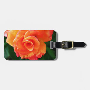Orange rose luggage tag