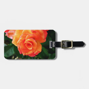 Orange rose  luggage tag