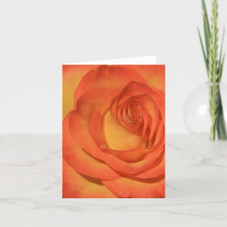 Orange Rose Notecard