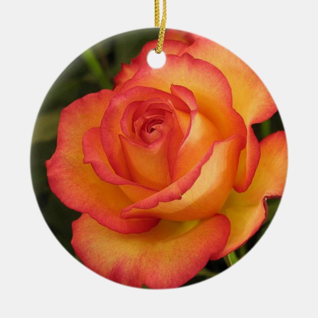 Orange Rose Ornament (Front)
