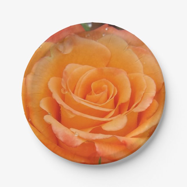Orange rose paper plates (Front)