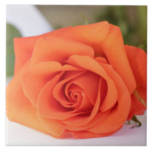 Orange Rose Petals Flower Floral Ceramic Tile