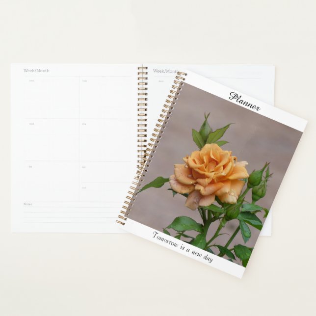 Orange Rose Planner (Display)