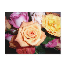 Orange Rose