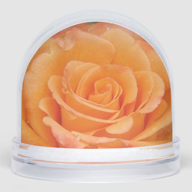 Orange Rose Snow Globe (Front)