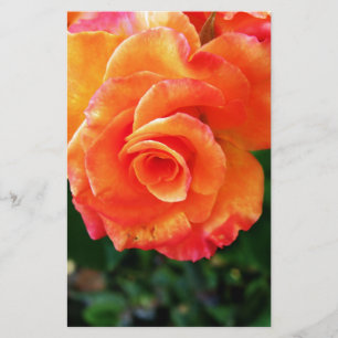 Orange rose stationery