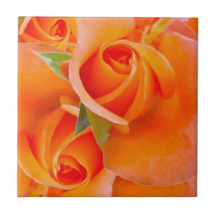 Orange Roses by Alexandra Cook Tile