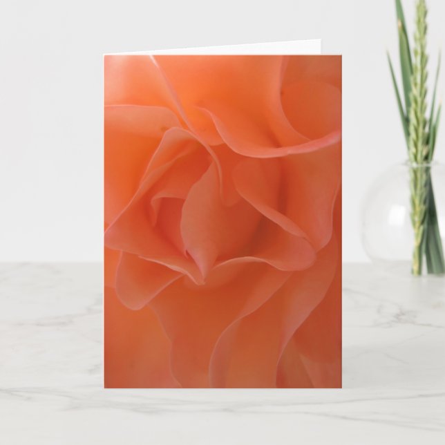 Orange roses card (Front)