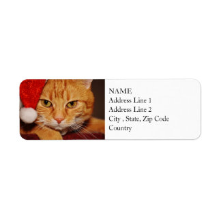 Orange Santa Kitty: Merry Christmas from the Cat Return Address Label