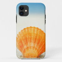Orange Scallop Shell Standing Upright In Sand
