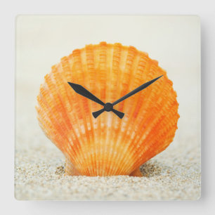 Orange Scallop Shell Standing Upright In Sand Square Wall Clock