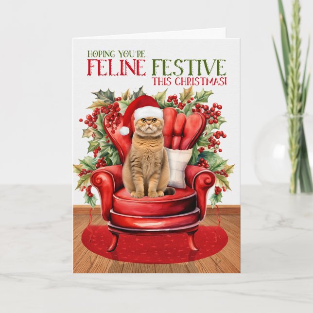 Orange Scottish Fold Christmas Cat FELINE Festive Holiday Card (Front)