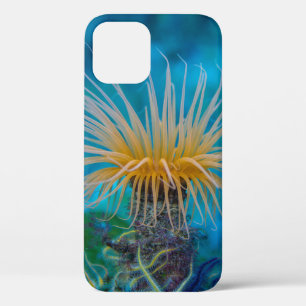 Orange Sea Anemone Aquatic Ocean Life  iPhone 12 Case