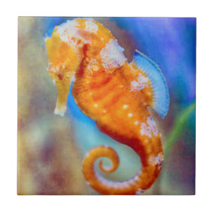 Orange Seahorse delight Ceramic Tile