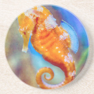 Orange Seahorse delight Coaster