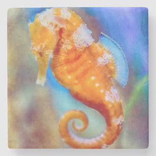 Orange Seahorse delight Stone Coaster