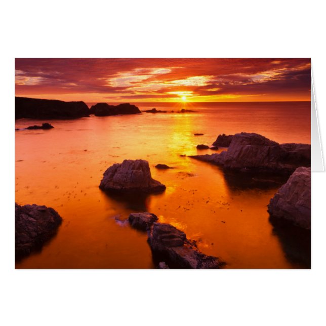 Orange seascape, sunset, California (Front Horizontal)