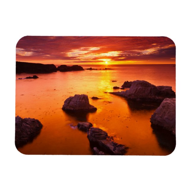 Orange seascape, sunset, California Magnet (Horizontal)
