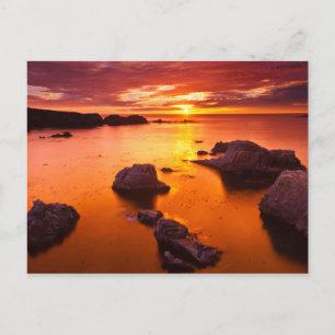 Orange seascape, sunset, California Postcard