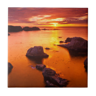 Orange seascape, sunset, California Tile