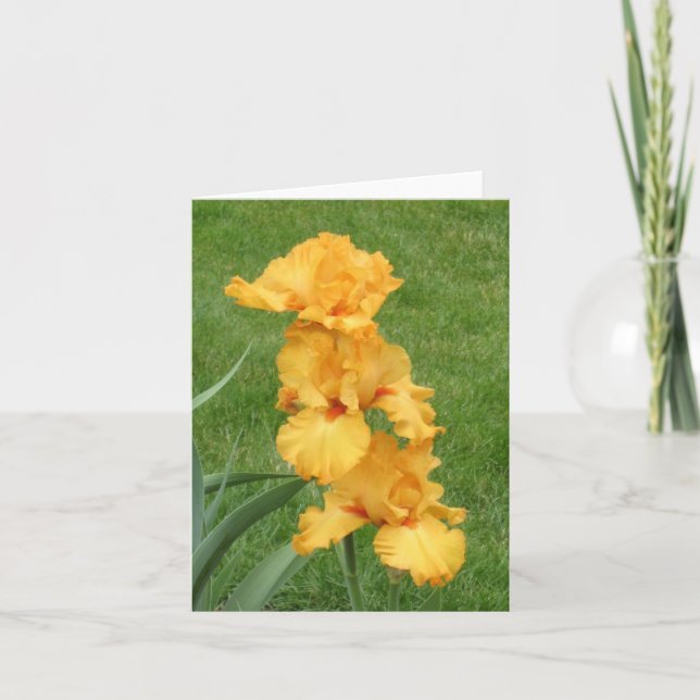 Orange Series Blank Small Note Card (Front)