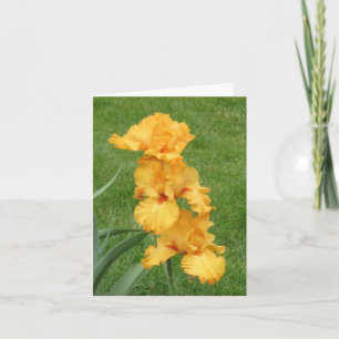 Orange Series Blank Small Note Card