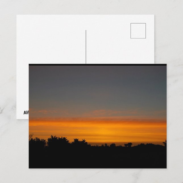 Orange Silhouette Skyline Postcard (Front/Back)