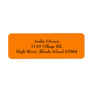 Orange Simple Plain Return Address Labels