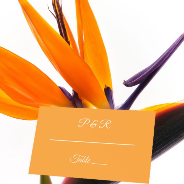 Orange Simple Stylised Script Wedding Place Card (In Situ Wedding)