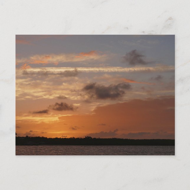 Orange Sky After Sunset in Florida Postcard (Front)