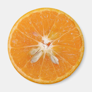 orange slice photo magnet