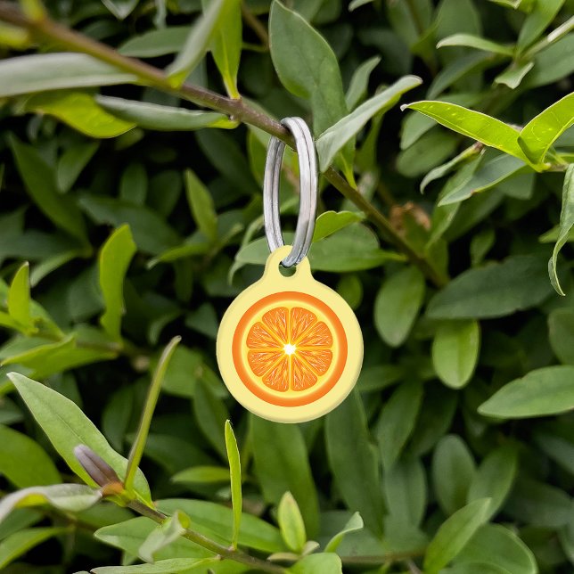 Orange Slice With Name & Number Pet Tag (Creator Uploaded)