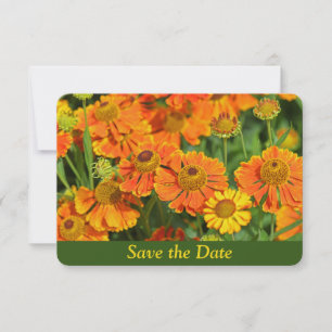Orange Sneezework Flower Garden Surprise Birthday Save The Date