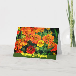 Orange Sneezewort Flowers Happy Birthday Card